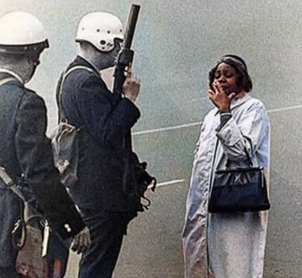 The Life Journey of Writer and Activist Louise Meriwether - African Nugget